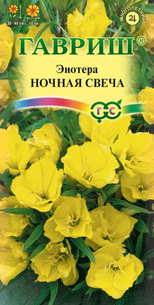 Энотера НОЧНАЯ СВЕЧА 0,2 гр. Энотера НОЧНАЯ СВЕЧА 0,2 гр.
