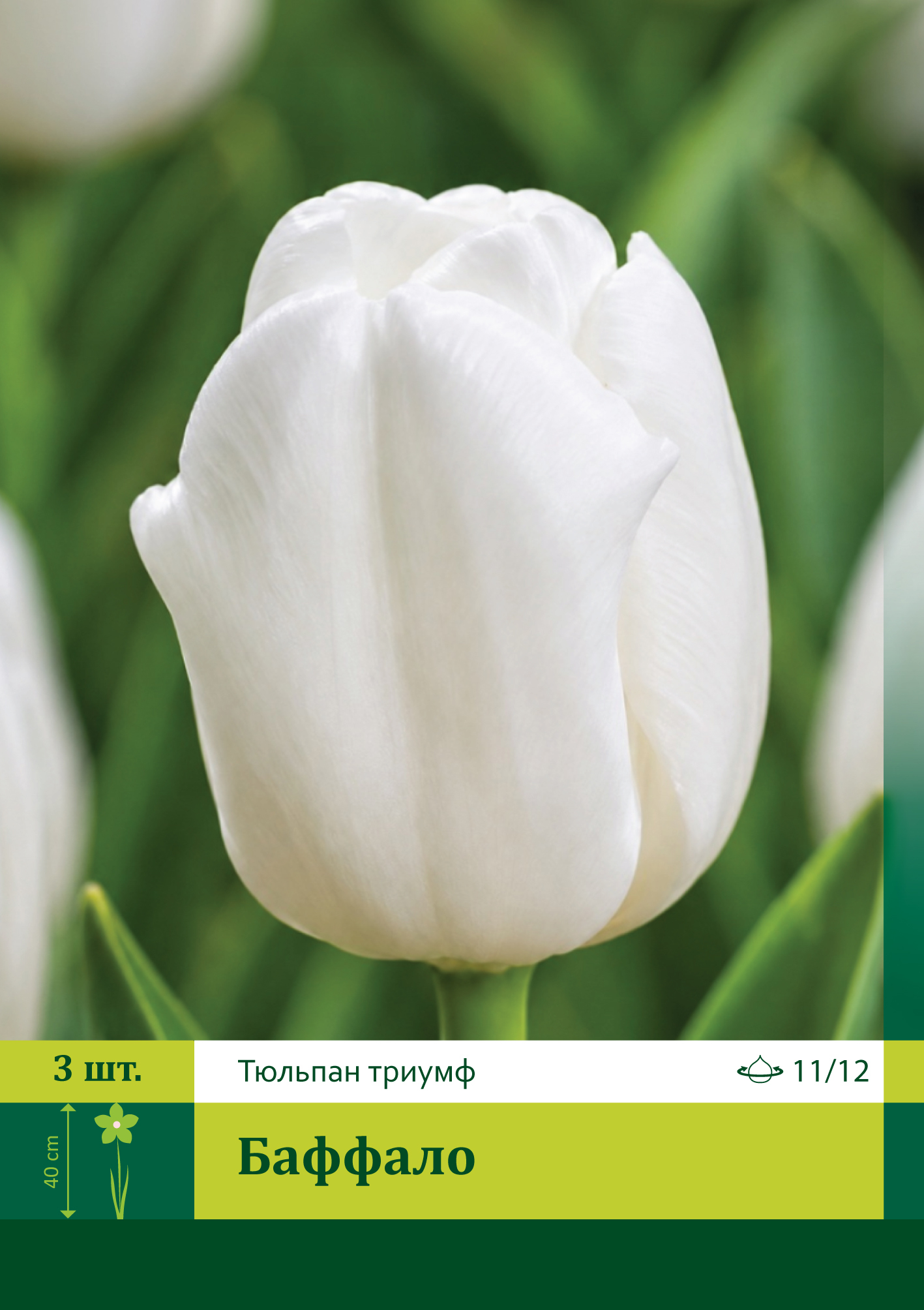 17934, Тюльпан Баффало ( TULIPA BUFFALO) 11/12 ( 3 шт.) 17934, Тюльпан Баффало ( TULIPA BUFFALO) 11/12 ( 3 шт.)