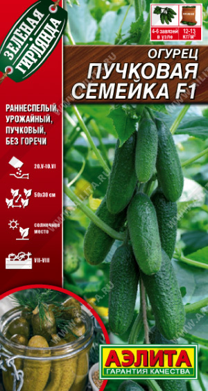 Огурец ПУЧКОВАЯ СЕМЕЙКА F1 10 шт. Огурец ПУЧКОВАЯ СЕМЕЙКА F1 10 шт.