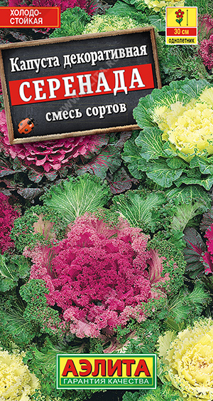 Капуста декоративная СЕРЕНАДА, смесь сортов 0,1 гр. Капуста декоративная СЕРЕНАДА, смесь сортов 0,1 гр.