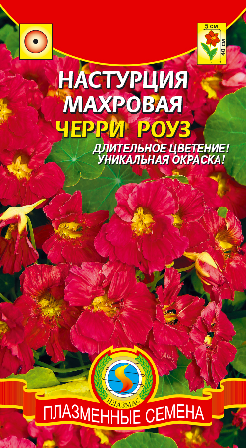 Настурция махровая ЧЕРРИ РОУЗ 8 шт. Настурция махровая ЧЕРРИ РОУЗ 8 шт.