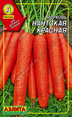 Морковь НАНТСКАЯ КРАСНАЯ 300 шт. (драже) Морковь НАНТСКАЯ КРАСНАЯ 300 шт. (драже)