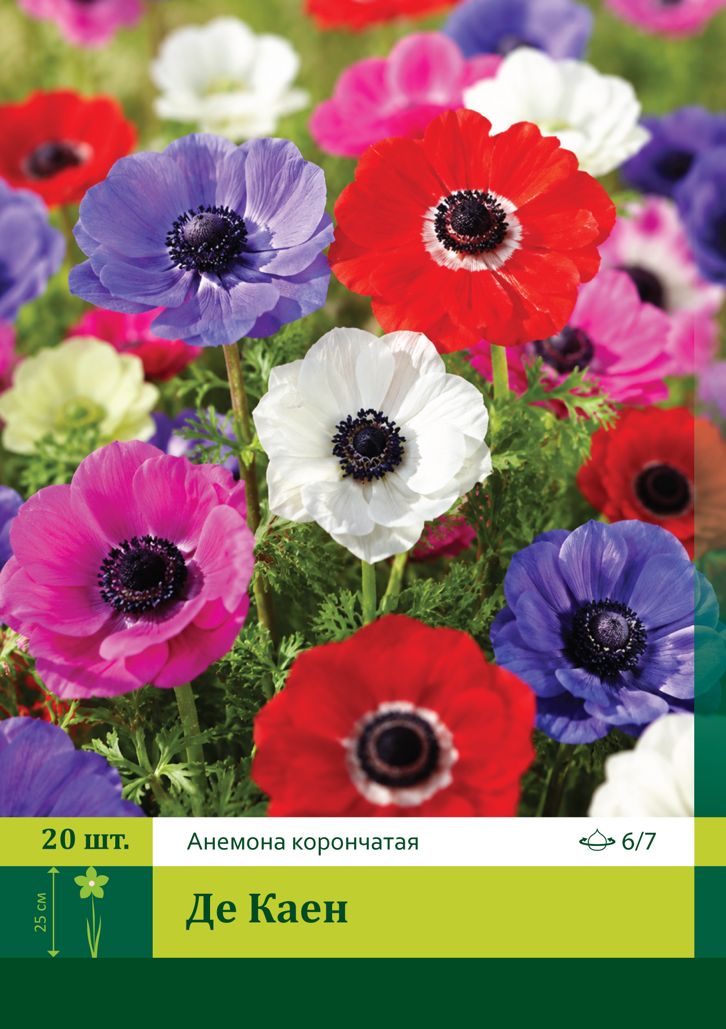16926, Анемона Де Каен ( ANEMONE CORONARIA DE CAEN) 6/7 ( 20 шт.) 16926, Анемона Де Каен ( ANEMONE CORONARIA DE CAEN) 6/7 ( 20 шт.)
