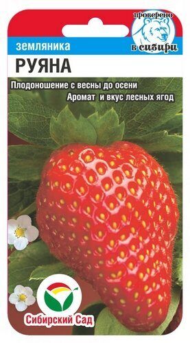 Земляника РУЯНА 10 шт. Земляника РУЯНА 10 шт.