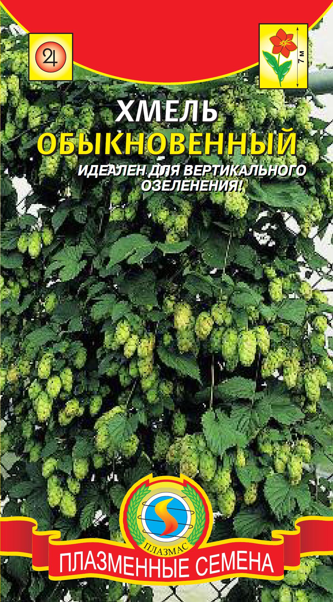 Хмель ОБЫКНОВЕННЫЙ 4 шт. Хмель ОБЫКНОВЕННЫЙ 4 шт.