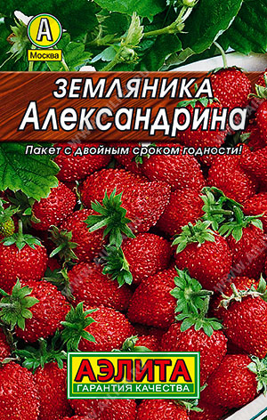 Земляника АЛЕКСАНДРИНА 0,04 шт. Земляника АЛЕКСАНДРИНА 0,04 шт.