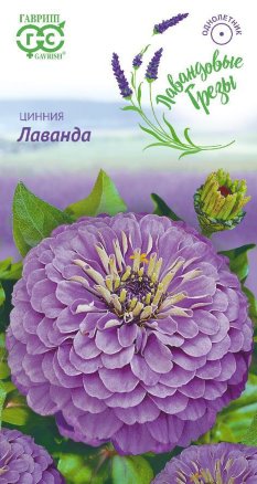 Цинния ЛАВАНДА 0,5 гр. Цинния ЛАВАНДА 0,5 гр.