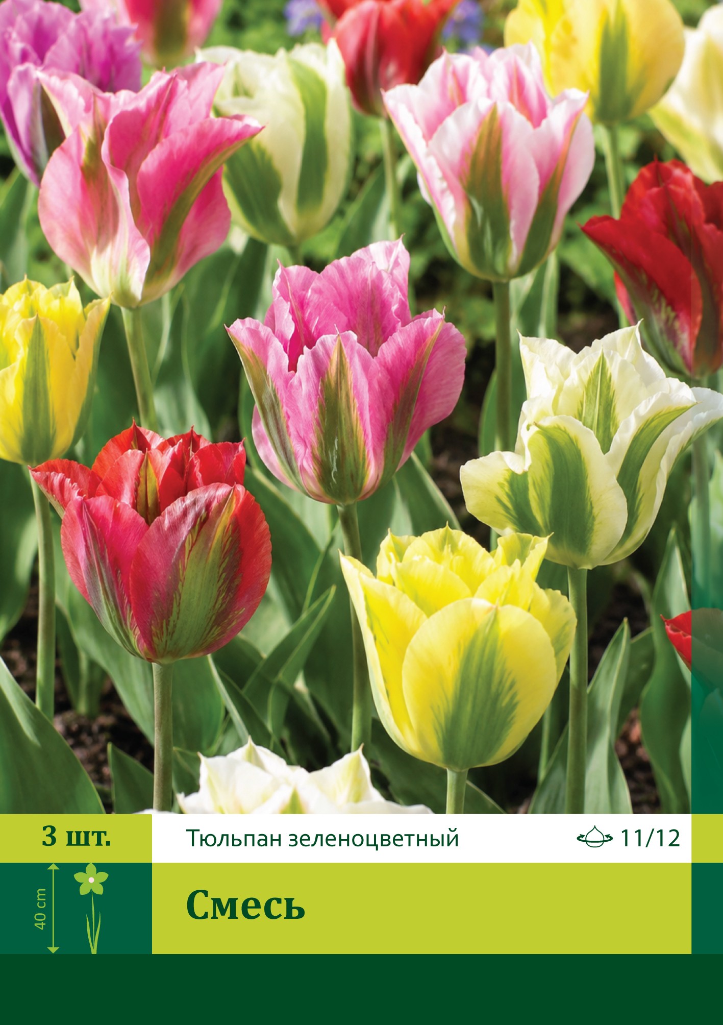 10170, Тюльпан Смесь ( TULIPA VIRIDIFLORA MIXED) 11/12 ( 3 шт.) 10170, Тюльпан Смесь ( TULIPA VIRIDIFLORA MIXED) 11/12 ( 3 шт.)