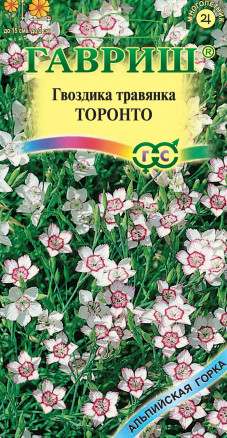 Гвоздика травянка ТОРОНТО 0,1 гр. Гвоздика травянка ТОРОНТО 0,1 гр.