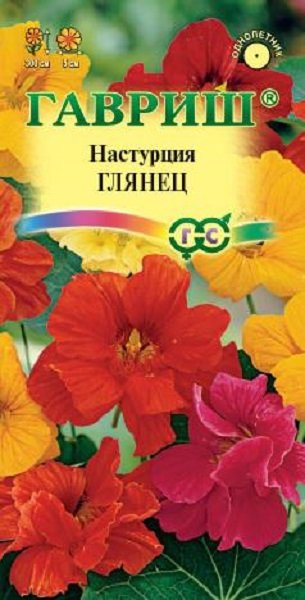 Настурция большая ГЛЯНЕЦ 1 гр. Настурция большая ГЛЯНЕЦ 1 гр.