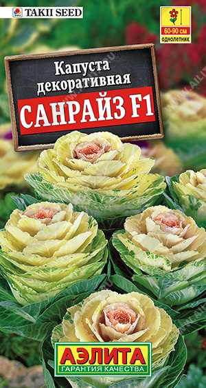 Капуста декоративная САНРАЙЗ F1 6 шт. Капуста декоративная САНРАЙЗ F1 6 шт.