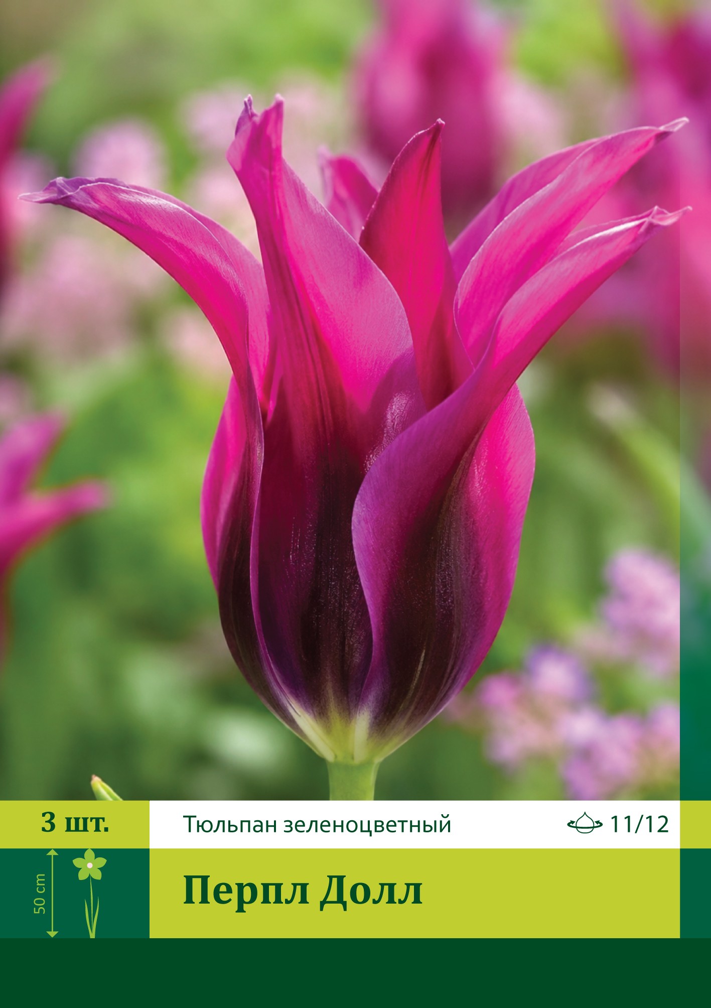 18568, Тюльпан Перпл Долл ( TULIPA PURPLE DOLL) 11/12 ( 3 шт.) 18568, Тюльпан Перпл Долл ( TULIPA PURPLE DOLL) 11/12 ( 3 шт.)